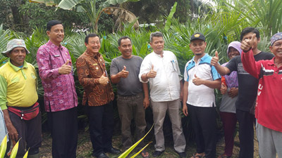 Wabup Mursini Salurkan Bantuan Bibit Sawit Gratis untuk Poktan